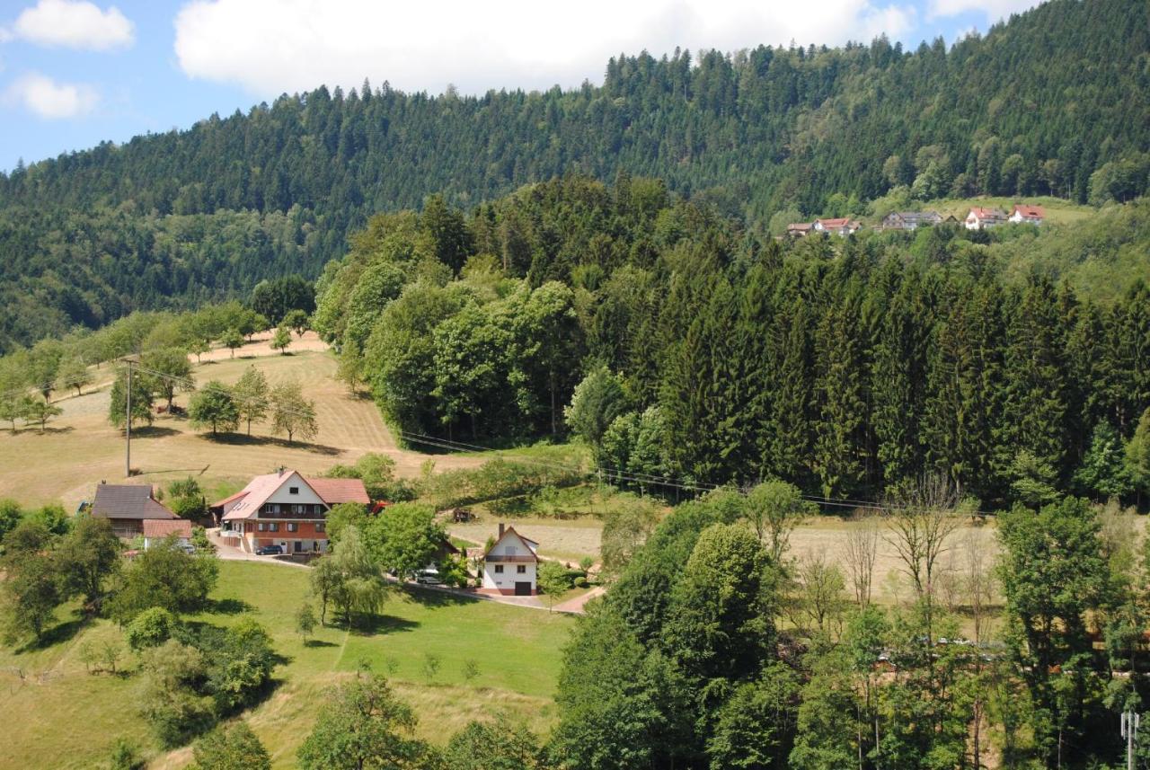 Ferienwohnung Treyer Oppenau Luaran gambar
